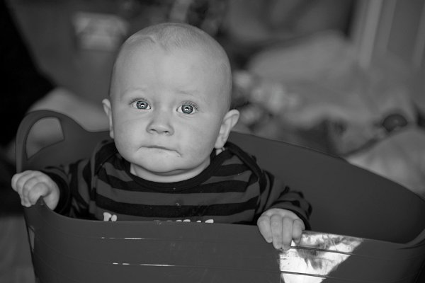Gal_131805_0112 copy